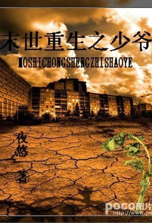 盛世收藏